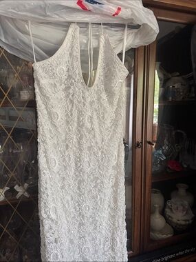 mesh organza dress Corindi Sheer Organza Dress